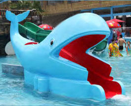 Whale Slide